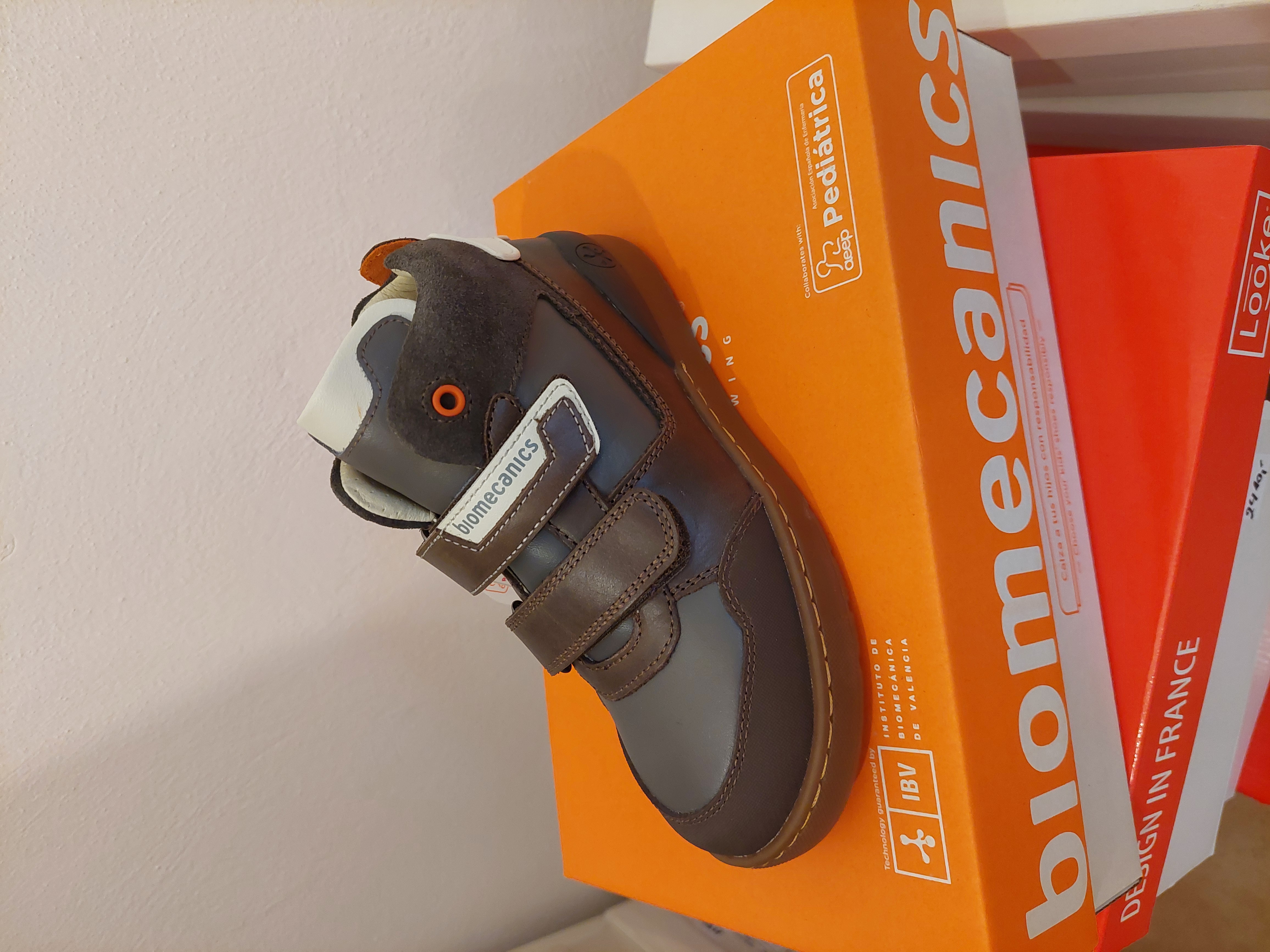 Biomecanics 231225-B braun