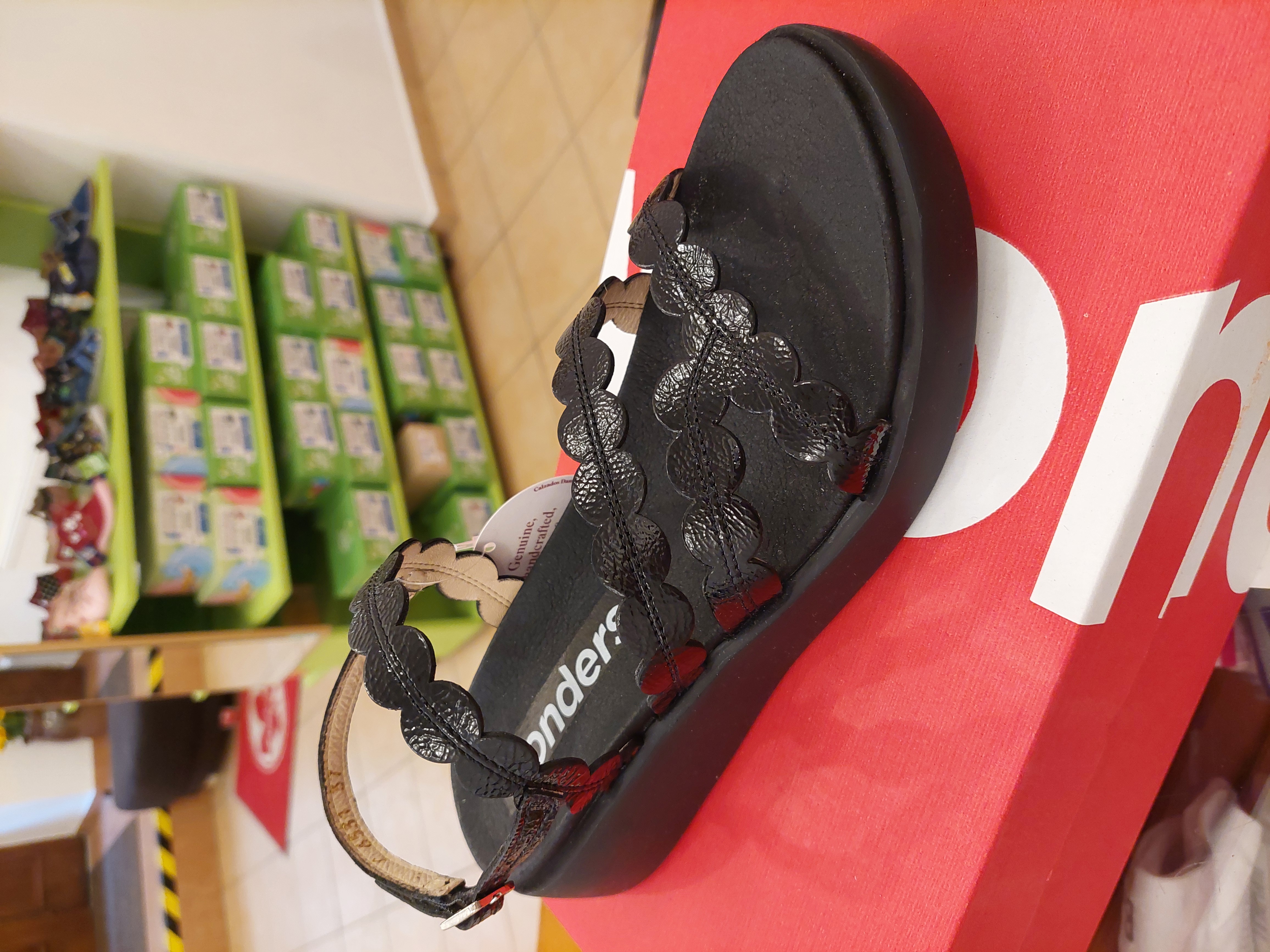 Wonders C-6531 black